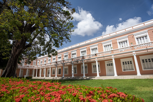 Foto de vista lateral das colunas da Reitoria, mostrando uma árvore e o jardim florido