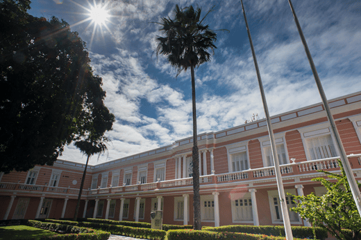 Foto de vista lateral da Reitoria, mostrando uma carnaúba, uma árvore frondosa, o jardim e o céu com sol e nuvens